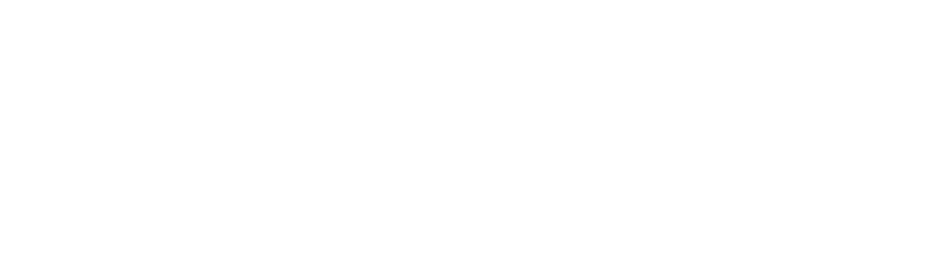 BVI Válvulas Industriais